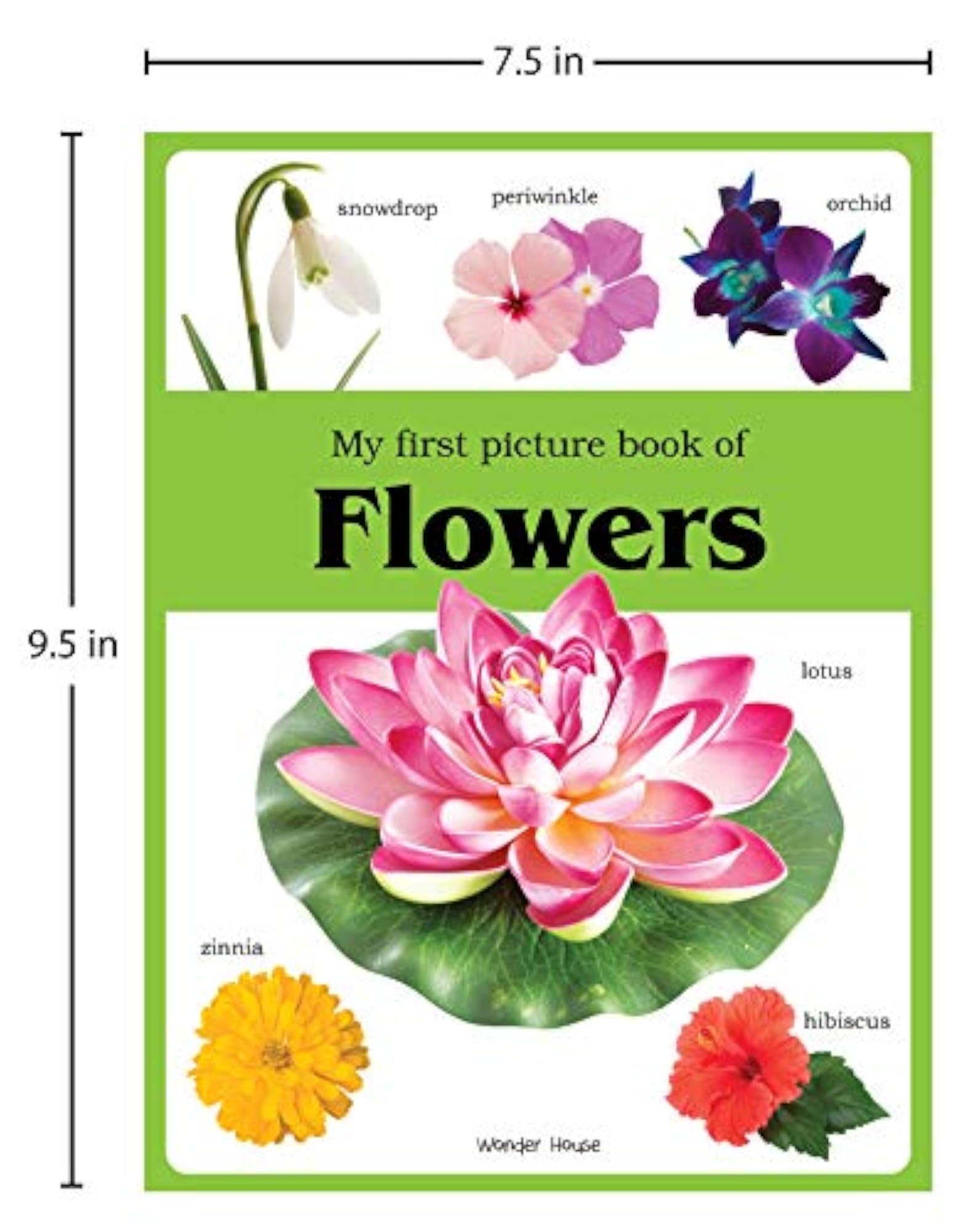 My First Picture Book of Flowers